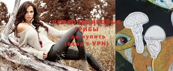 2c-b Арсеньев
