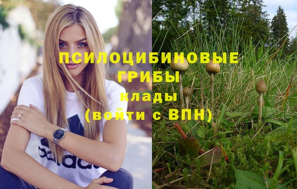 винт Алзамай