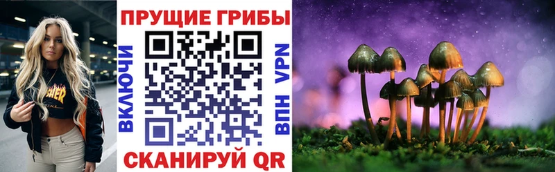 Галлюциногенные грибы Magic Shrooms  купить закладку  mega зеркало  Асбест 