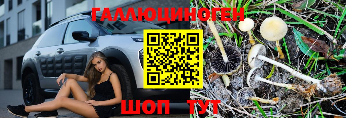Псилоцибиновые грибы Magic Shrooms Асбест